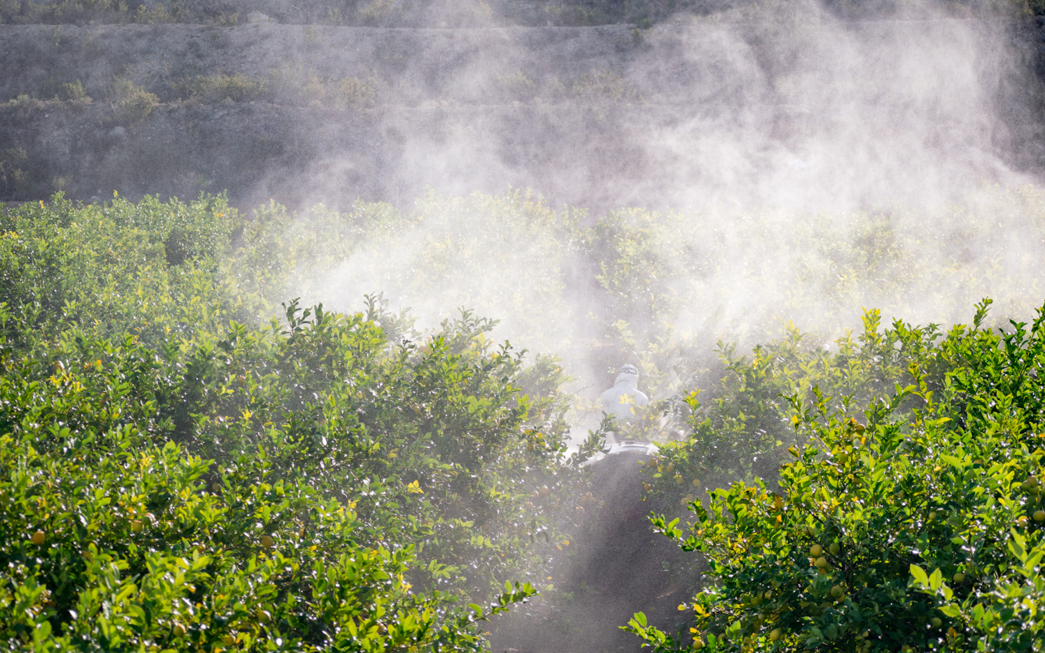 SGS Polska przedłużyła akredytację GAFTA FUMIGATION po raz piąty z rzędu.